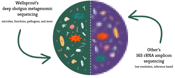 wellsprout gut health test vs others